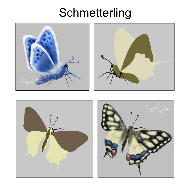 Vorschaubild-Schmetterling-800x800px.png